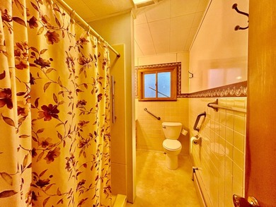 Experience the best of Northwoods lake living with this - photo 22