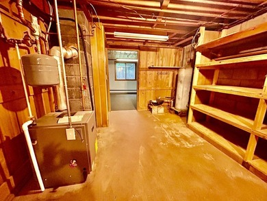 Experience the best of Northwoods lake living with this - photo 25