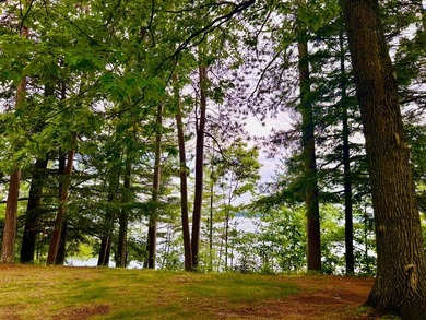 Experience the best of Northwoods lake living with this - photo 28