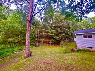 Experience the best of Northwoods lake living with this - photo 31