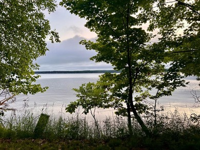 Experience the best of Northwoods lake living with this - photo 33