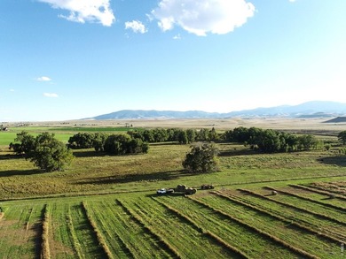 Rio Grande Sanctuary Ranch covers roughly 368 acres and offers - photo 34