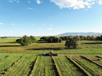 Rio Grande Sanctuary Ranch covers roughly 368 acres and offers - photo 35