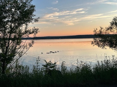 Experience the best of Northwoods lake living with this - photo 36