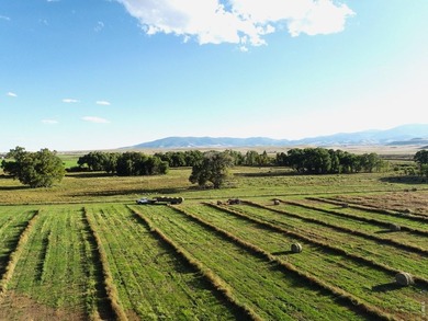 Rio Grande Sanctuary Ranch covers roughly 368 acres and offers - photo 36