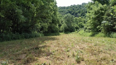 INVEST, HUNT, or ESCAPE! Located in the remote mountain country - photo 11