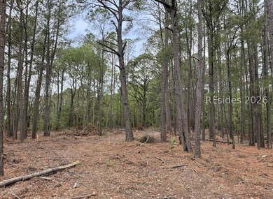 Escape to your own slice of the Lowcountry with this 1 acre - photo 12