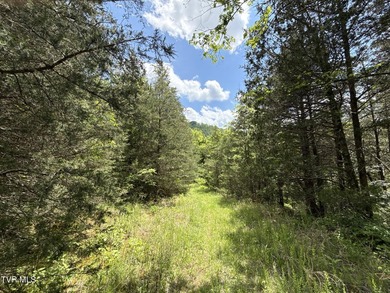 INVEST, HUNT, or ESCAPE! Located in the remote mountain country - photo 12