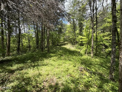INVEST, HUNT, or ESCAPE! Located in the remote mountain country - photo 13