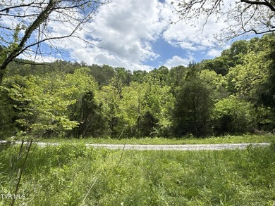 INVEST, HUNT, or ESCAPE! Located in the remote mountain country - photo 18