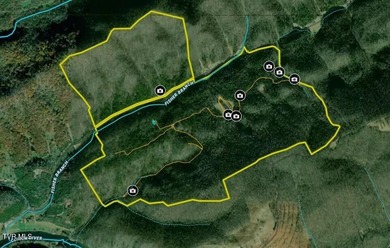 INVEST, HUNT, or ESCAPE! Located in the remote mountain country - photo 19