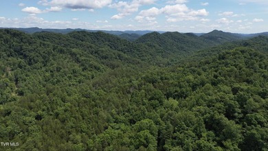 INVEST, HUNT, or ESCAPE! Located in the remote mountain country - photo 22