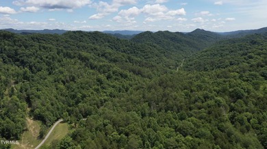INVEST, HUNT, or ESCAPE! Located in the remote mountain country - photo 23