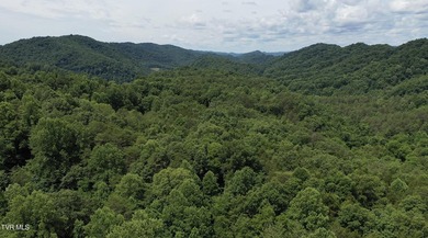 INVEST, HUNT, or ESCAPE! Located in the remote mountain country - photo 24