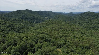 INVEST, HUNT, or ESCAPE! Located in the remote mountain country - photo 26