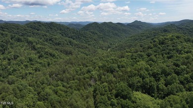 INVEST, HUNT, or ESCAPE! Located in the remote mountain country - photo 27