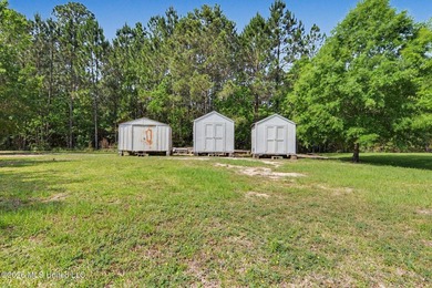 Tucked inside the highly sought-after Pass Christian Isles, this - photo 29