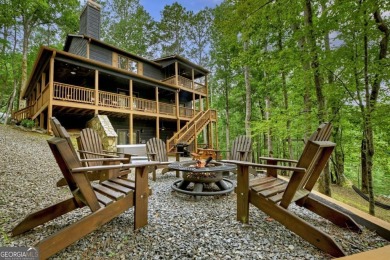 Lake Home For Sale in Ellijay, Georgia