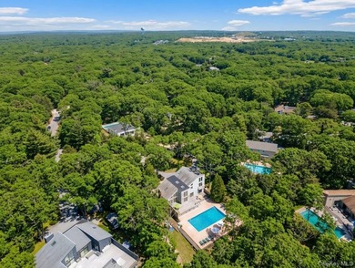Turnkey Modern Retreat in East Hampton's Northwest Woods - photo 2