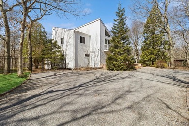 Turnkey Modern Retreat in East Hampton's Northwest Woods - photo 4
