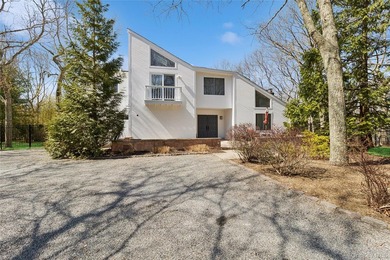 Turnkey Modern Retreat in East Hampton's Northwest Woods - photo 5