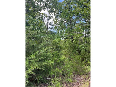 Tract 8 - 5.89 Acres of Secluded Mountain Land | No Restrictions - photo 2