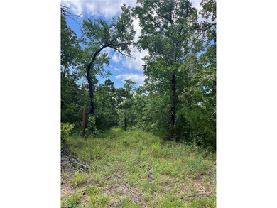 Tract 8 - 5.89 Acres of Secluded Mountain Land | No Restrictions - photo 3