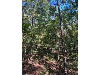 Tract 8 - 5.89 Acres of Secluded Mountain Land | No Restrictions - photo 4