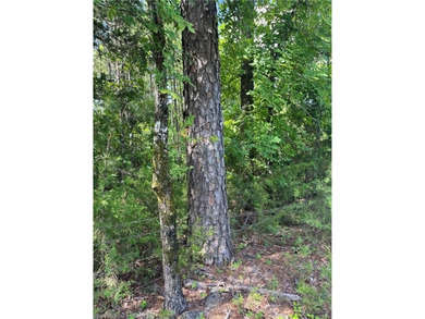 Tract 8 - 5.89 Acres of Secluded Mountain Land | No Restrictions - photo 5