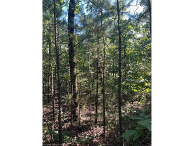 Tract 8 - 5.89 Acres of Secluded Mountain Land | No Restrictions - photo 6