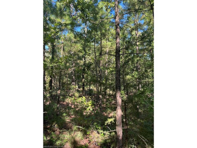 Tract 8 - 5.89 Acres of Secluded Mountain Land | No Restrictions - photo 7