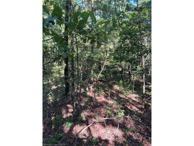 Tract 8 - 5.89 Acres of Secluded Mountain Land | No Restrictions - photo 8