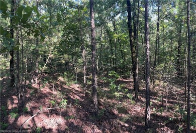 Tract 8 - 5.89 Acres of Secluded Mountain Land | No Restrictions - photo 9