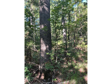Tract 8 - 5.89 Acres of Secluded Mountain Land | No Restrictions - photo 10