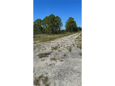 Lake Grassy Lot For Sale in Lake Placid Florida