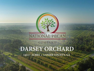 Lake Acreage For Sale in Lakeland, Georgia