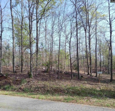 5 acre Wooded Second Row Lot with views of Lake Wateree. - Lake Lot For Sale in Ridgeway, South Carolina