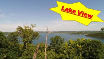 Table Rock Lake Lot For Sale in Reeds Spring Missouri