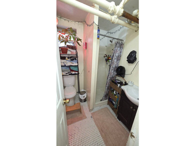 Rare Opportunity Fully Detached 2-Family Home With Finished - photo 21