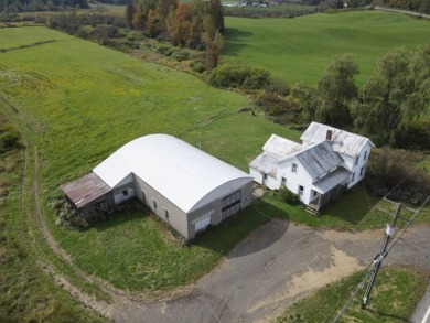 Lake Home For Sale in South Otselic, New York