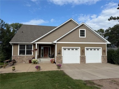 Lake Home For Sale in Pine City Twp, Minnesota