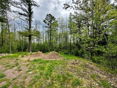 Wooded retreat, 1.4 acres only minutes from Jim Falls, Chippewa - photo 2
