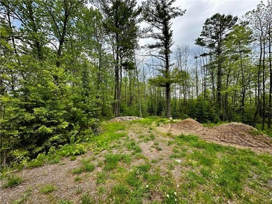 Wooded retreat, 1.4 acres only minutes from Jim Falls, Chippewa - photo 3