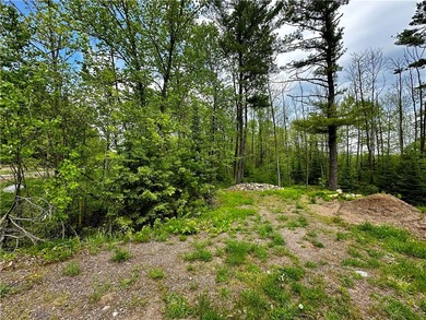 Wooded retreat, 1.4 acres only minutes from Jim Falls, Chippewa - photo 4