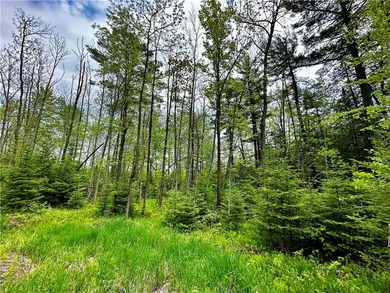 Wooded retreat, 1.4 acres only minutes from Jim Falls, Chippewa - photo 5