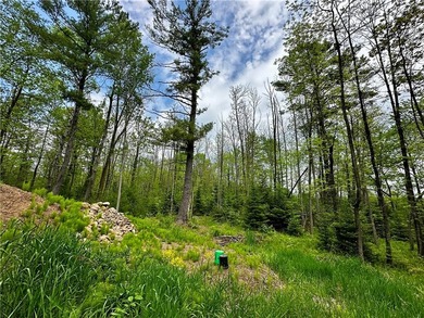 Wooded retreat, 1.4 acres only minutes from Jim Falls, Chippewa - photo 6