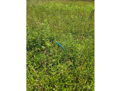 2 Great building lots for your new home! Water and Sewer tap - photo 3