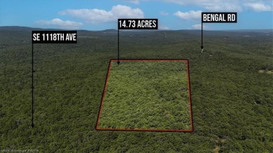 (private lake, pond, creek) Acreage For Sale in Panola Oklahoma