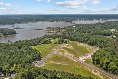 Beautiful water front lot on Halls Creek with a community boat - photo 12
