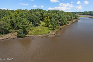 Beautiful water front lot on Halls Creek with a community boat - photo 14